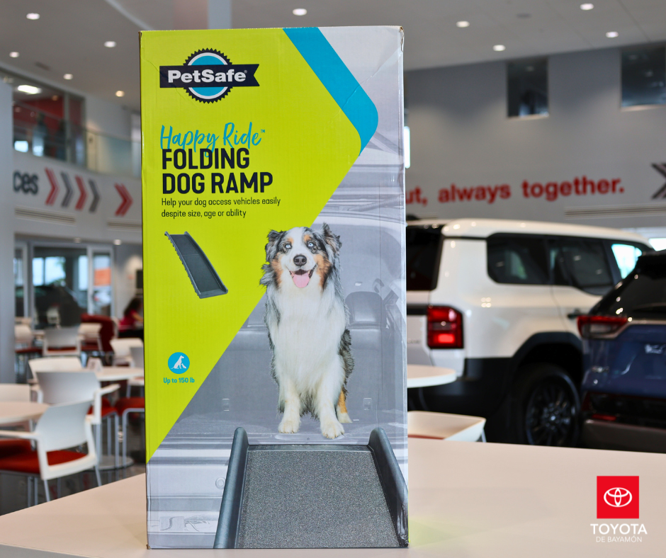 Dog Ramp