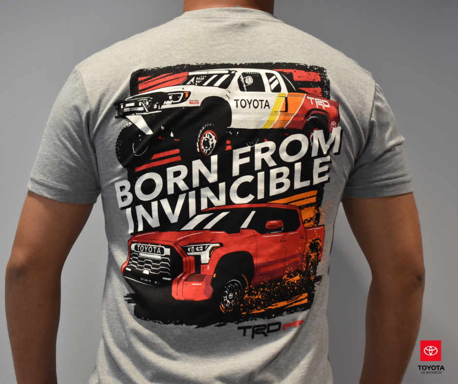 Tundra '22 Gray Tshirt